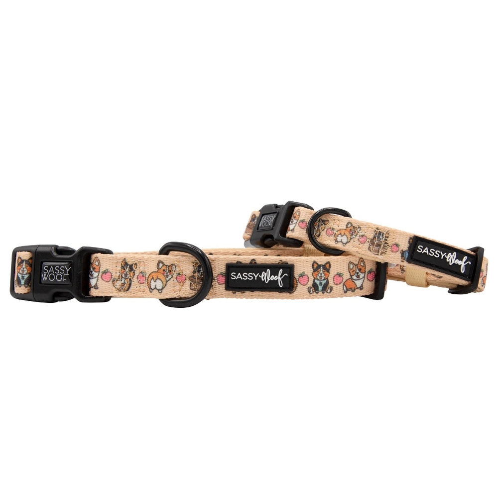 Sassy Woof Corgilicious Small Dog Collar